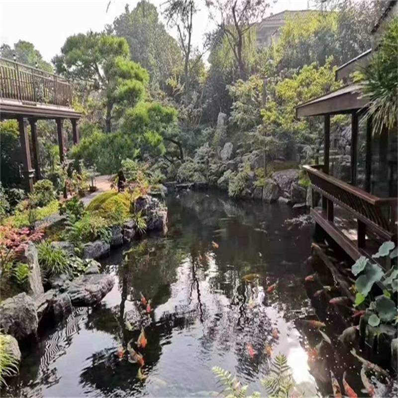 曲江假山植物小鱼池